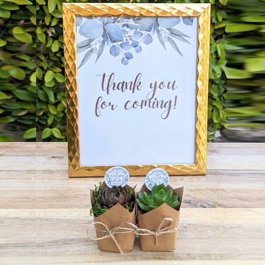 Rooted Gratitude