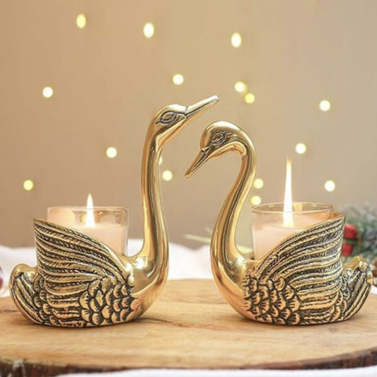 Swan Glow Duo